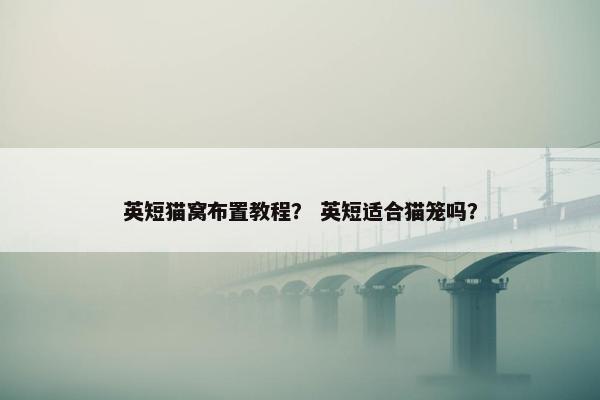 英短猫窝布置教程？ 英短适合猫笼吗？
