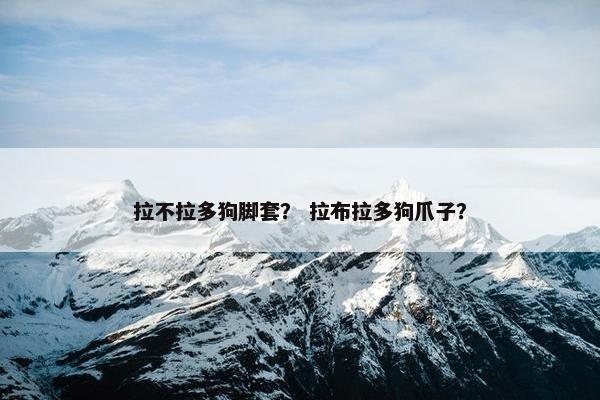 拉不拉多狗脚套？ 拉布拉多狗爪子？