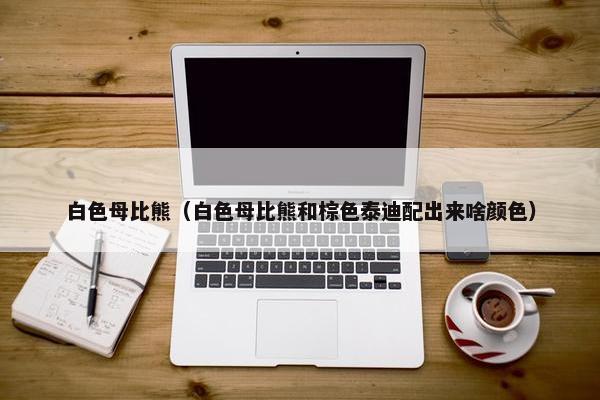 白色母比熊（白色母比熊和棕色泰迪配出来啥颜色）