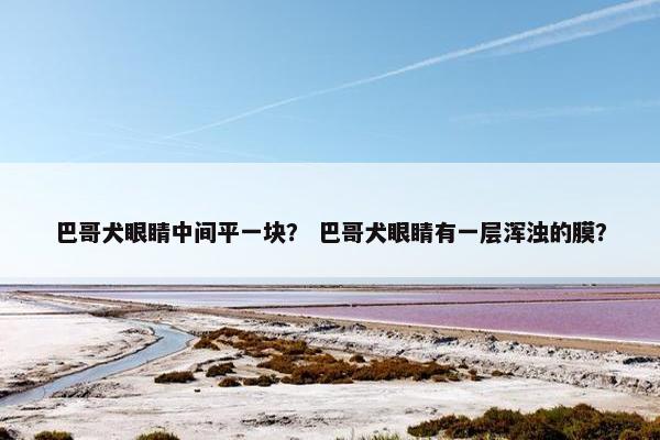 巴哥犬眼睛中间平一块? 巴哥犬眼睛有一层浑浊的膜?