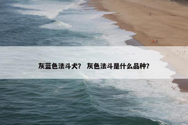 灰蓝色法斗犬？ 灰色法斗是什么品种？