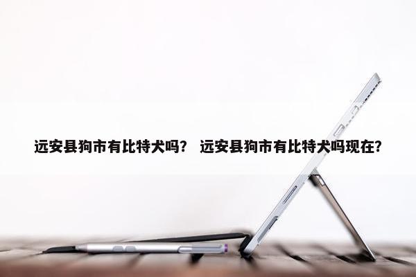 远安县狗市有比特犬吗？ 远安县狗市有比特犬吗现在？