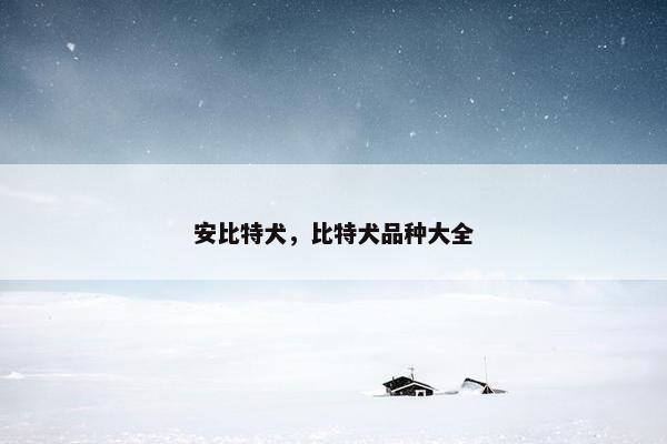 安比特犬，比特犬品种大全