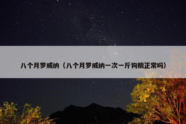 八个月罗威纳（八个月罗威纳一次一斤狗粮正常吗）