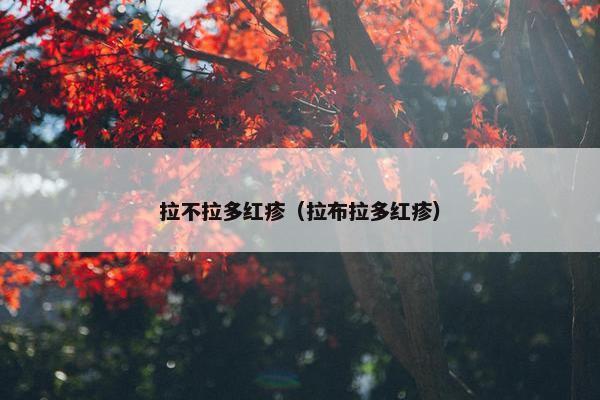 拉不拉多红疹（拉布拉多红疹）