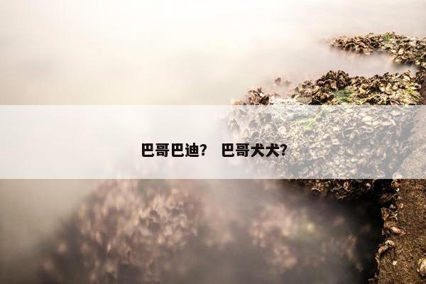 巴哥巴迪？ 巴哥犬犬？