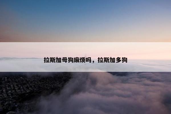 拉斯加母狗麻烦吗，拉斯加多狗