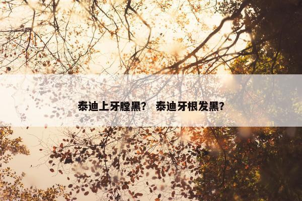 泰迪上牙膛黑？ 泰迪牙根发黑？