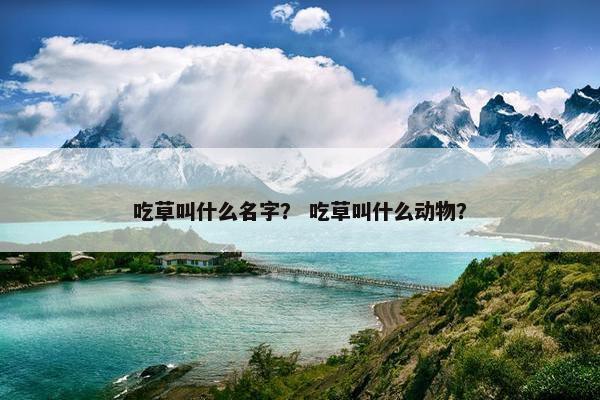 吃草叫什么名字？ 吃草叫什么动物？