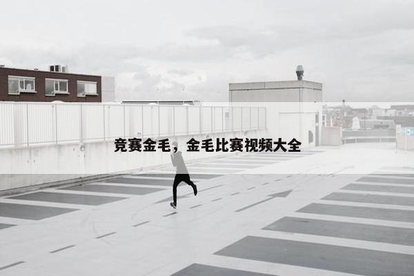 竞赛金毛，金毛比赛视频大全