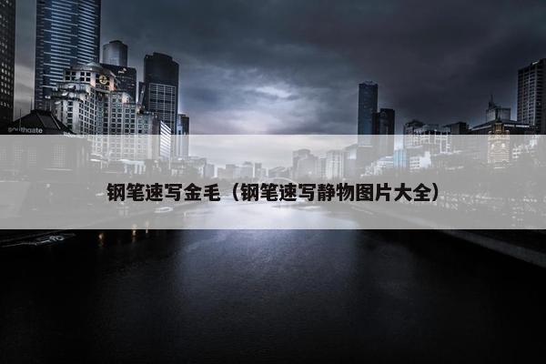 钢笔速写金毛（钢笔速写静物图片大全）