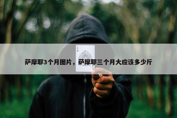 萨摩耶3个月图片，萨摩耶三个月大应该多少斤