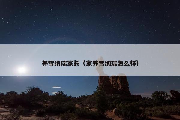 养雪纳瑞家长（家养雪纳瑞怎么样）
