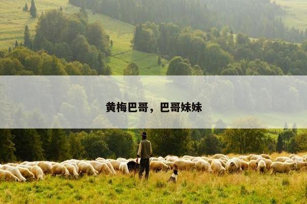 黄梅巴哥，巴哥妹妹