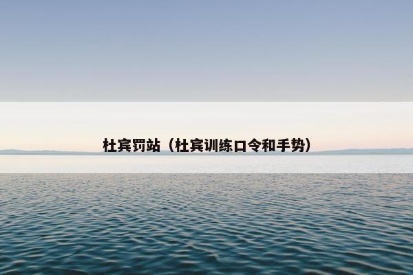 杜宾罚站（杜宾训练口令和手势）