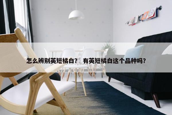 怎么辨别英短橘白？ 有英短橘白这个品种吗？