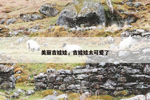 美丽吉娃娃，吉娃娃太可爱了