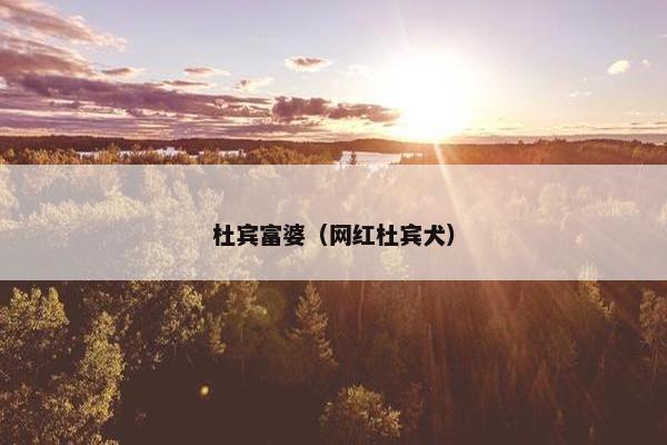杜宾富婆(网红杜宾犬)