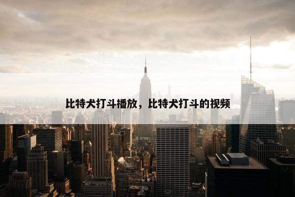 比特犬打斗播放，比特犬打斗的视频