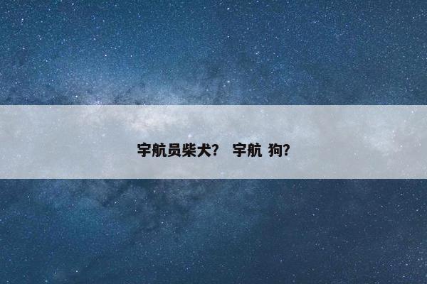 猛兽