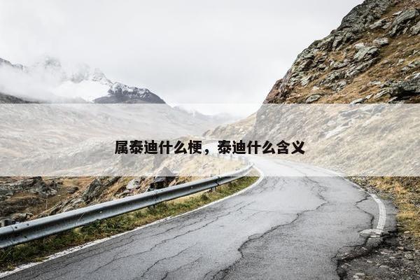 属泰迪什么梗，泰迪什么含义