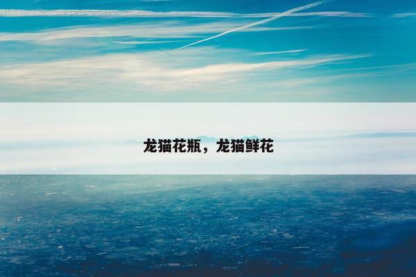 龙猫花瓶，龙猫鲜花