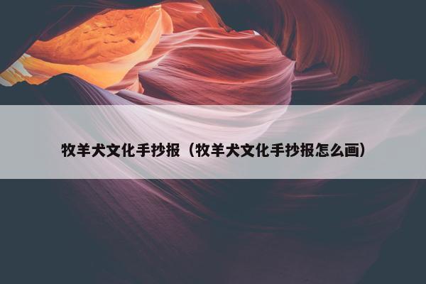 牧羊犬文化手抄报（牧羊犬文化手抄报怎么画）