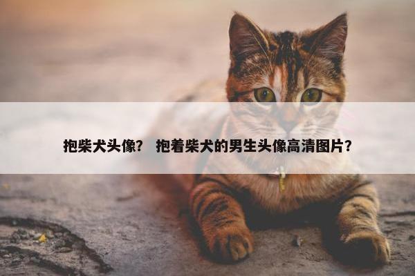 抱柴犬头像？ 抱着柴犬的男生头像高清图片？