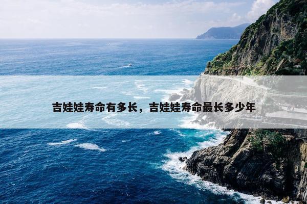 寿命