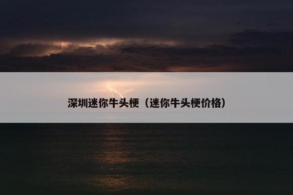 深圳迷你牛头梗(迷你牛头梗价格)