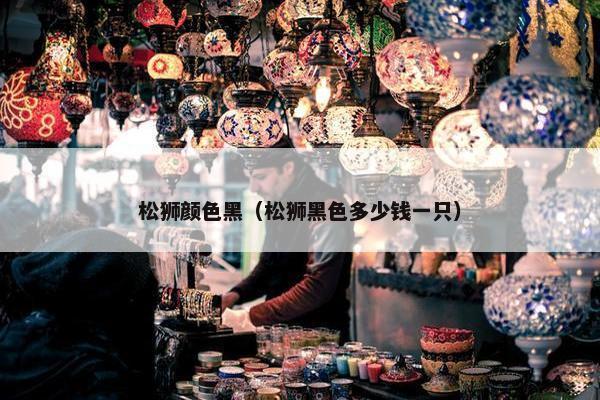 松狮颜色黑(松狮黑色多少钱一只)