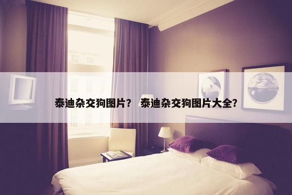 泰迪杂交狗图片？ 泰迪杂交狗图片大全？