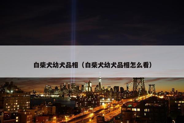 白柴犬幼犬品相（白柴犬幼犬品相怎么看）