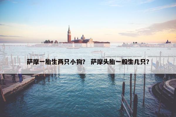 萨摩一胎生两只小狗？ 萨摩头胎一般生几只？