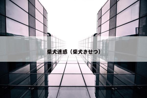 柴犬迷惑（柴犬きせつ）