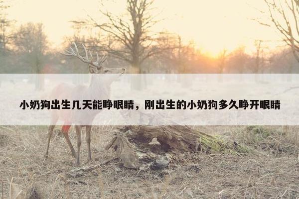 小奶狗出生几天能睁眼睛，刚出生的小奶狗多久睁开眼睛