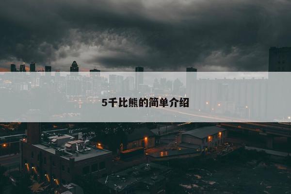 5千比熊的简单介绍