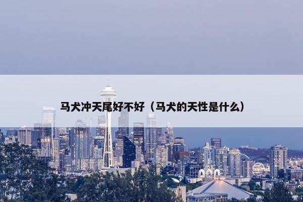 中国