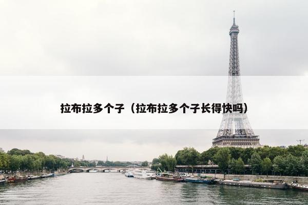 拉布拉多个子（拉布拉多个子长得快吗）