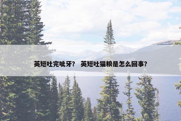 英短吐完呲牙？ 英短吐猫粮是怎么回事？