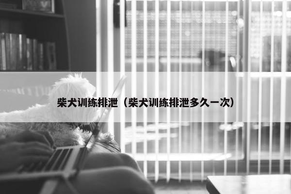 柴犬训练排泄（柴犬训练排泄多久一次）