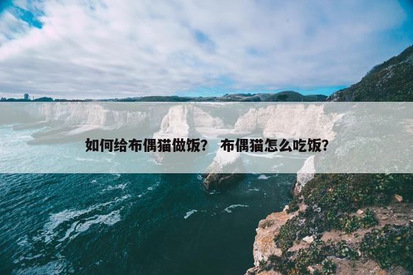 如何给布偶猫做饭？ 布偶猫怎么吃饭？
