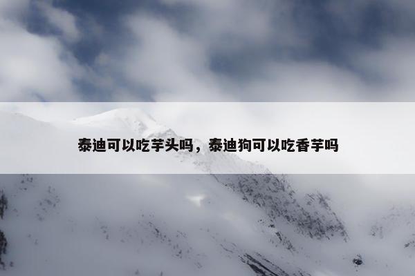 泰迪可以吃芋头吗，泰迪狗可以吃香芋吗