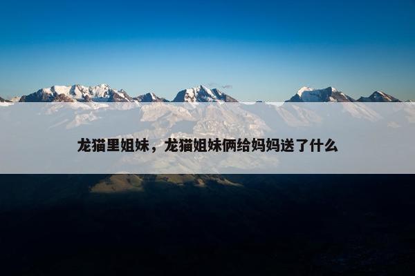 龙猫