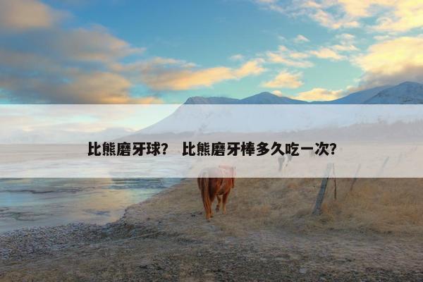 比熊磨牙球？ 比熊磨牙棒多久吃一次？