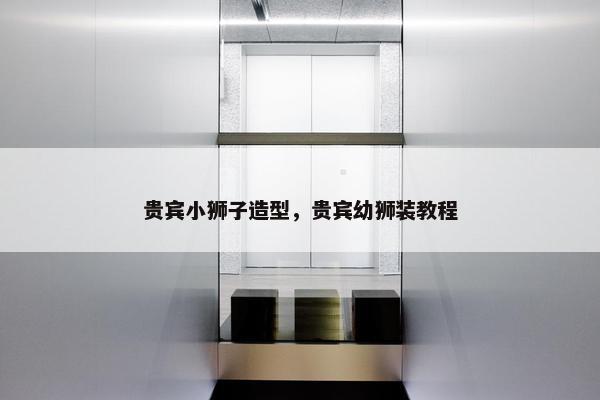 贵宾小狮子造型，贵宾幼狮装教程
