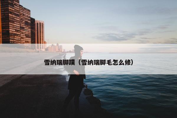 雪纳瑞脚蹼（雪纳瑞脚毛怎么修）