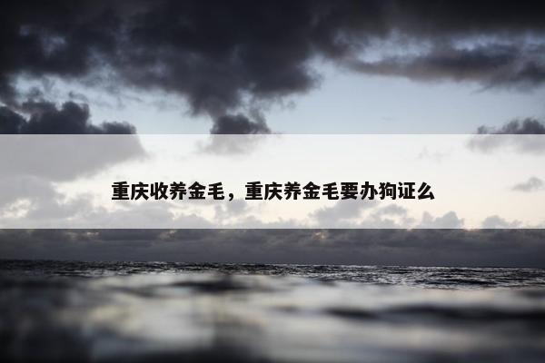 重庆收养金毛，重庆养金毛要办狗证么