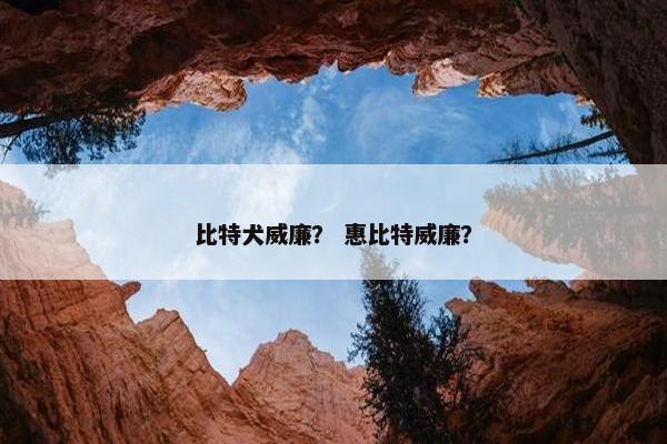 比特犬威廉? 惠比特威廉?