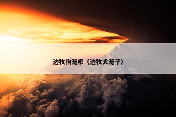 边牧狗笼粮（边牧犬笼子）